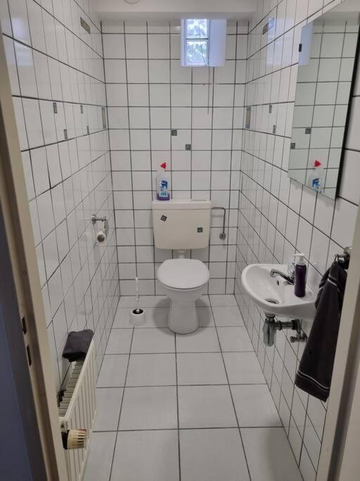 Gemuetliche Oase - Geraeumige Unterkunft Sarreguemines Eksteriør billede